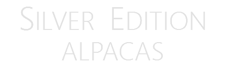 Silver Edition Alpacas